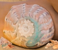 Belly Art - Conch Shell